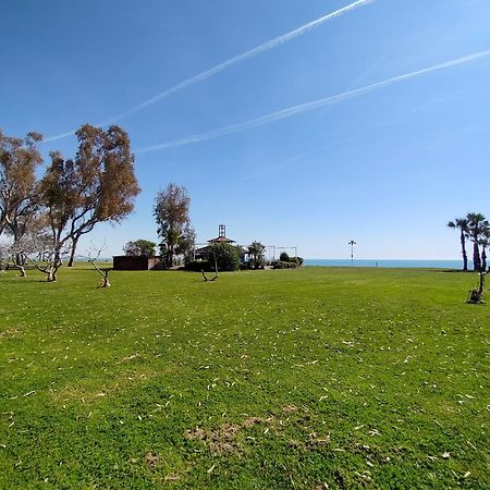 Acv - Costa Marina II - 1ª Linea, Planta 10, Sur Lägenhet Oropesa del Mar Exteriör bild